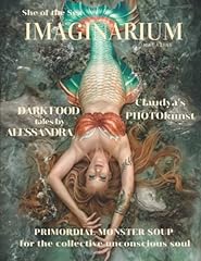 Imaginarium magazine zine gebraucht kaufen  Wird an jeden Ort in Deutschland