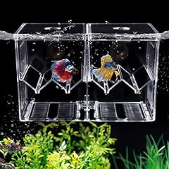 Weaverbird acrylic fish for sale  Delivered anywhere in UK