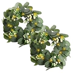 Eucalyptus wreaths front for sale  Delivered anywhere in USA 