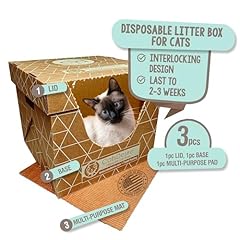 Cats desire litter for sale  Delivered anywhere in USA 