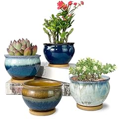 Summer impressions 5.5 for sale  Delivered anywhere in USA 
