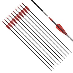 Fiberglass arrows archery for sale  Delivered anywhere in USA 
