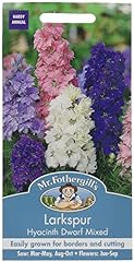 Fothergill 16223 flower for sale  Delivered anywhere in UK
