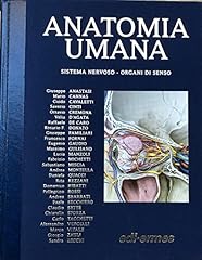Anatomia umana sistema usato  Spedito ovunque in Italia 