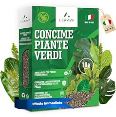 Lerava concime piante usato  Spedito ovunque in Italia 
