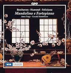 Mandolino fortepiano usato  Spedito ovunque in Italia 