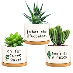 Parbee funny succulent for sale  Delivered anywhere in USA 