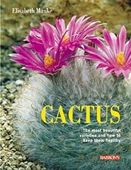 Cactus beautiful species for sale  Delivered anywhere in USA 