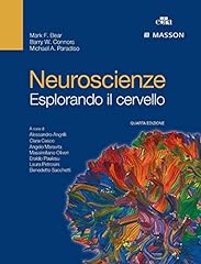 Neuroscienze. esplorando cerve usato  Spedito ovunque in Italia 