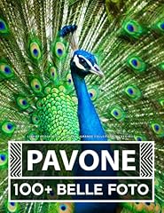 Libro fotografico pavone usato  Spedito ovunque in Italia 