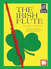 The irish flute usato  Spedito ovunque in Italia 