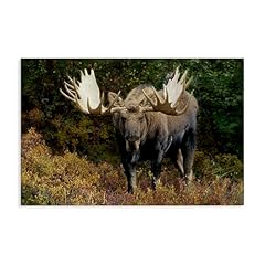 Stupell industries bull for sale  Delivered anywhere in USA 