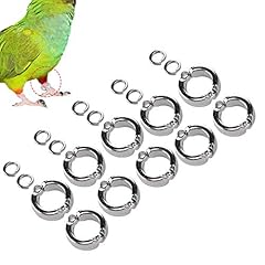Parrots foot buckle for sale  Delivered anywhere in USA 