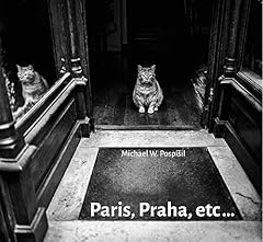 Michael pospí paris usato  Spedito ovunque in Italia 