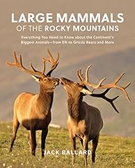 Large mammals rocky for sale  Delivered anywhere in USA 