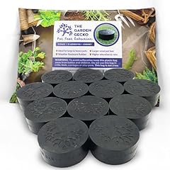 Garden gecko chunky for sale  Delivered anywhere in UK