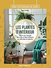Plantes intérieur créer d'occasion  Livré partout en France