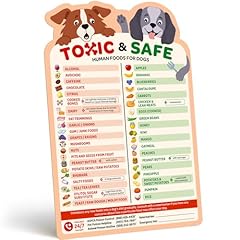 Ebpp magnetic list for sale  Delivered anywhere in USA 
