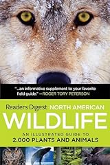 North american wildlife for sale  Delivered anywhere in USA 