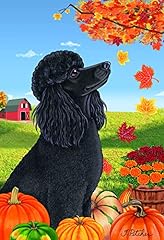 Black poodle tomoyo for sale  Delivered anywhere in USA 