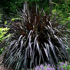 Pack black fountain for sale  Delivered anywhere in USA 