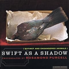 Swift shadow extinct for sale  Delivered anywhere in USA 