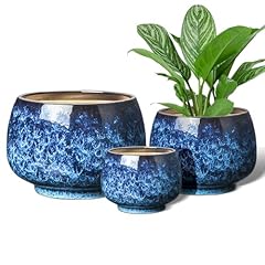 Buymax set ceramic for sale  Delivered anywhere in USA 