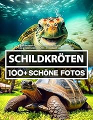 Schildkröten buch große gebraucht kaufen  Wird an jeden Ort in Deutschland