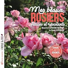 Beaux rosiers faciles d'occasion  Livré partout en Belgiqu