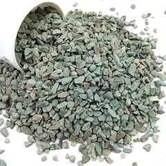Yiszm succulents cactus for sale  Delivered anywhere in USA 