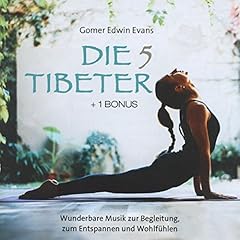 Tibeter wunderbare musik gebraucht kaufen  Wird an jeden Ort in Deutschland