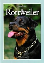 Rottweiler usato  Spedito ovunque in Italia 