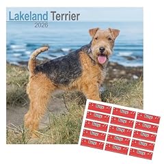 Lakeland terrier calendar for sale  Delivered anywhere in UK