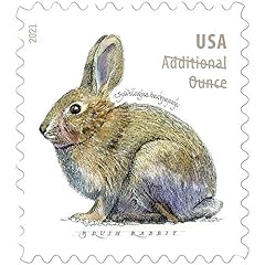 Brush rabbit additional for sale  Delivered anywhere in USA 
