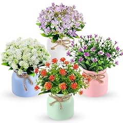 Der rose pack for sale  Delivered anywhere in USA 