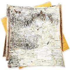 Aevvv white birch for sale  Delivered anywhere in USA 