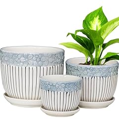 Hlukana ceramic plant for sale  Delivered anywhere in USA 