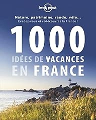 1000 idées vacances usato  Spedito ovunque in Italia 