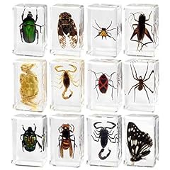 Clear resin insect for sale  Delivered anywhere in UK