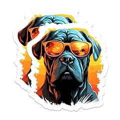 Cane corso dog for sale  Delivered anywhere in USA 