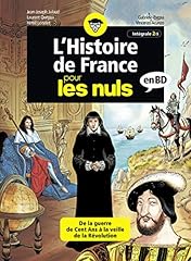 Histoire nuls bd d'occasion  Livré partout en Belgiqu