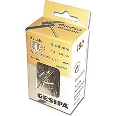 Gesipa blindniete mini gebraucht kaufen  Wird an jeden Ort in Deutschland