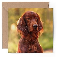 Greeting card irish for sale  Delivered anywhere in UK