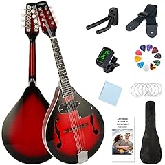 Eavnbaek mandolin style for sale  Delivered anywhere in USA 