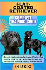 Flat coated retriever for sale  Delivered anywhere in UK