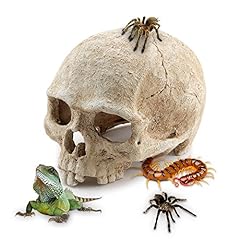 Aquarium resin skull for sale  Delivered anywhere in USA 