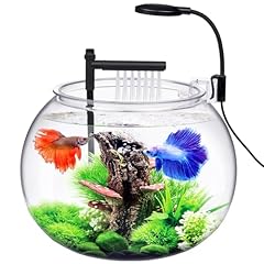 12l desktop betta for sale  Delivered anywhere in UK