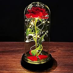 Beauty beast rose for sale  Delivered anywhere in UK