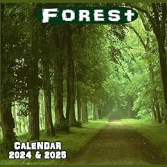 Forest calendar 2024 gebraucht kaufen  Wird an jeden Ort in Deutschland