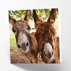 Maturi donkeys photographic for sale  Delivered anywhere in UK
